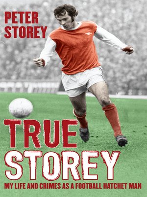 cover image of True Storey